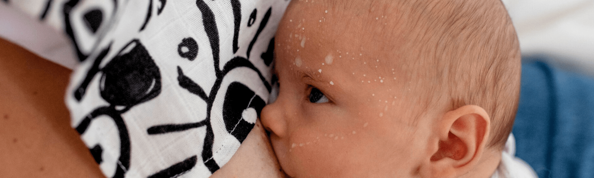 FEEDING - Etta Loves