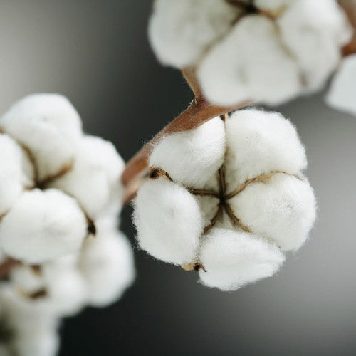 Why we're changing to organic cotton muslins from bamboo - Etta Loves