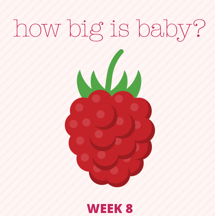 Pregnancy - the differences second time around (poor baby...) - Etta Loves