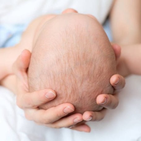 THE LITTLE MEERKAT BABY BIRTH TYPE - Etta Loves