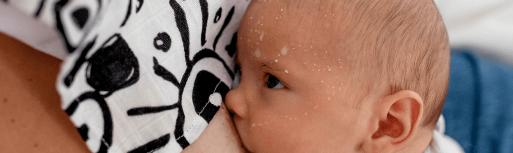 FEEDING - Etta Loves